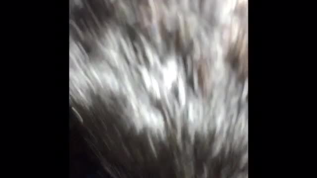 Short Rough Gay Bareback Porn At Tube