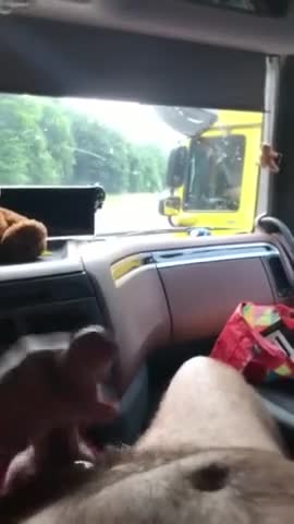 In My Truck