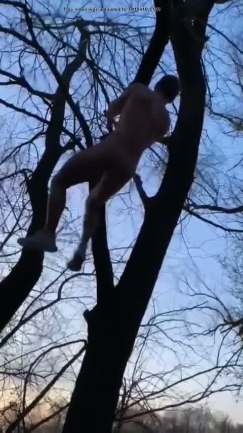 Climbing