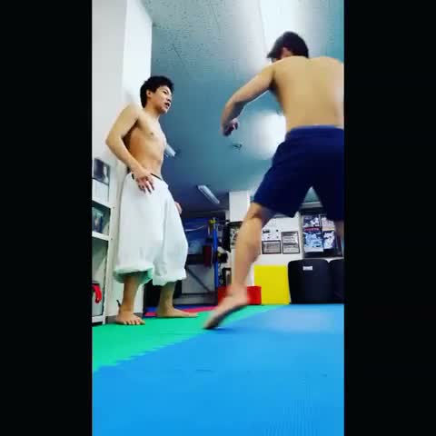 Karate Fighter Heavy Abs Punch
